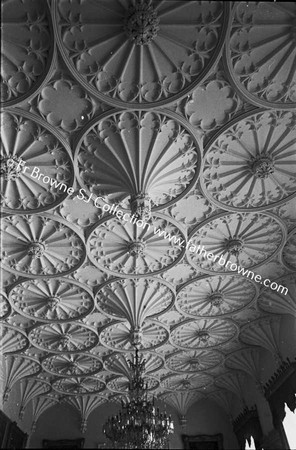 SHELTON ABBEY CEILING OF SALOON